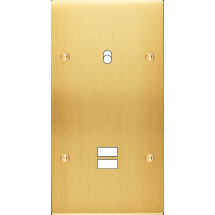  FAC LAITON LAIT-S DV B1 U1 VIS 