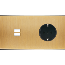  FAC LAITON BROSSE DH U1 PCK 