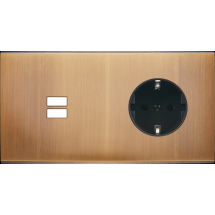  FAC LAITON BRONZ DH U1 PCK MAG 