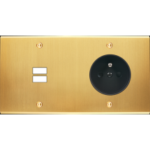  FAC LAITON LAIT-S DH U1 PC VIS 