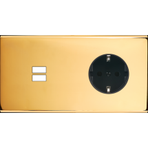  FAC LAITON DORE DH U1 PCK MAG 