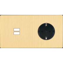  FAC "M" LAITON BROSSE DH U1 P 