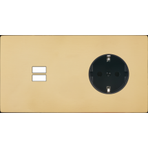  FAC "M" LAITON MIROIR DH U1 P 