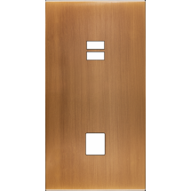  FAC LAITON BRONZ DV U1 M1 