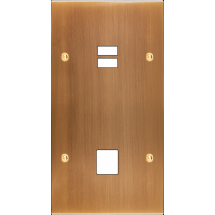  FAC LAITON BRONZE DV U1 M1 VIS 