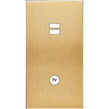  FAC LAITON BROSSE DV U1 C1 