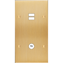  FAC LAITON LAIT-B DV U1 C1 VIS 