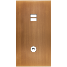  FAC LAITON BRONZ DV U1 C1 