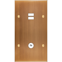  FAC LAITON BRONZE DV U1 C1 VIS 