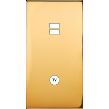  FAC LAITON DORE DV U1 C1 