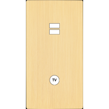  FAC "M" LAITON BROSSE DV U1  S 