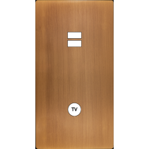  FAC "M" LAITON BRONZE DV U1 C1 