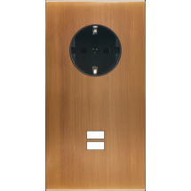  FAC LAITON BRONZ DV PCK U1 MAG 