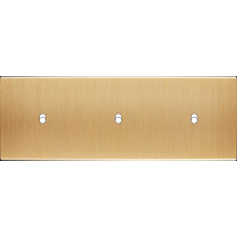  LT CHAMP TH B1 B1 B1 