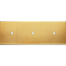  LT CHAMP SAT TH B1 B1 B1 