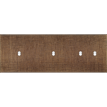  FAC LAITON COSLAN TH B1 B1 B2 