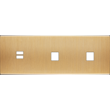  FAC LAITON BROSSE TH U1 M1 M1 