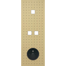  FAC LTE4 LAIT-S TV D1 D2E PC M 