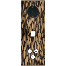 FAC LAITON FAUVE TV PCK M1 C3 