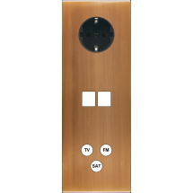  FAC LAITON BRONZE TV PCK M2 C3 