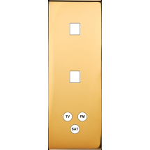  FAC LAITON DORE TV M1 M1 C3 