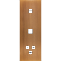  FAC LTM BRONZE TV U1 M1 C3 M 