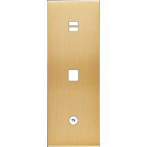  FAC LAITON BROSSE TV U1 M1 C1 