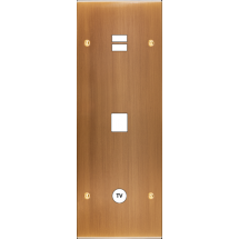  FAC LAITON BRONZ TV U1 M1 C1 V 