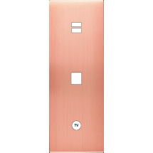  FAC LAITON CUIV-S TV U1 M1 C1 