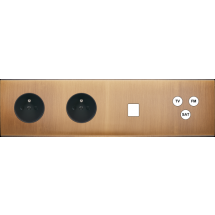  FAC LTC BRONZE QH PC PC M1 C3 