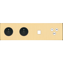  FAC LTM LAIT-B QH PC PC M1 C3 