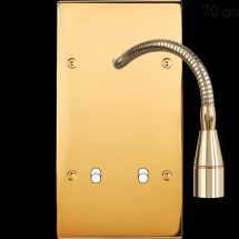  FAC LAITON DORE DV FINE20 + B2 