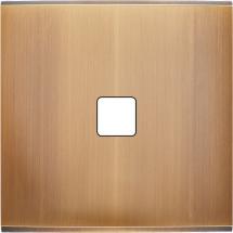  FAC LTC BRONZE S D1 MAGNET 