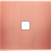  FAC LTC CUIVRE-S S D1 MAGNET 