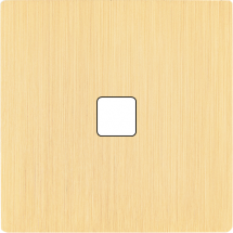  FAC LTM LAIT-B S D1 M 