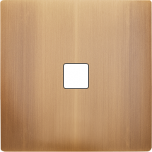  FAC LTM BRONZE S D1 M 