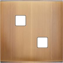  FAC LTC BRONZE S D2 MAGNET 