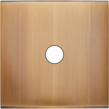  FAC LTC BRONZE S RD1 MAGNET 