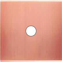  FAC LTC CUIVRE-S S RD1 MAGNET 