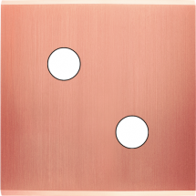  FAC LTC CUIVRE-S S RD2 MAGNET 