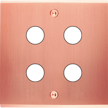  FAC LTC CUIV-S S RD4 A VIS 