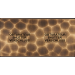  FAC LTF ONDE DH O1 O1 MAGNET 