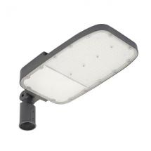  SL AREA SPD XL 150W/730 RV35ST 