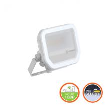  FL10 8W/840 SYM100 ML IP66 WT 