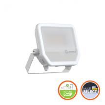  FL50 41W/865 SYM100 ML IP66 WT 