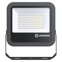  FL AREA 50 50W/830 ASYMML IP66 