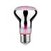  LED FIL PLANT R63 E27 6,5W 230 