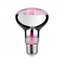 LED FIL PLANT R80 E27 6,5W 230 