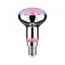  LED FIL PLANT R50 E14 6,5W 230 