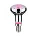  LED FIL PLANT R50 E14 6,5W 230 